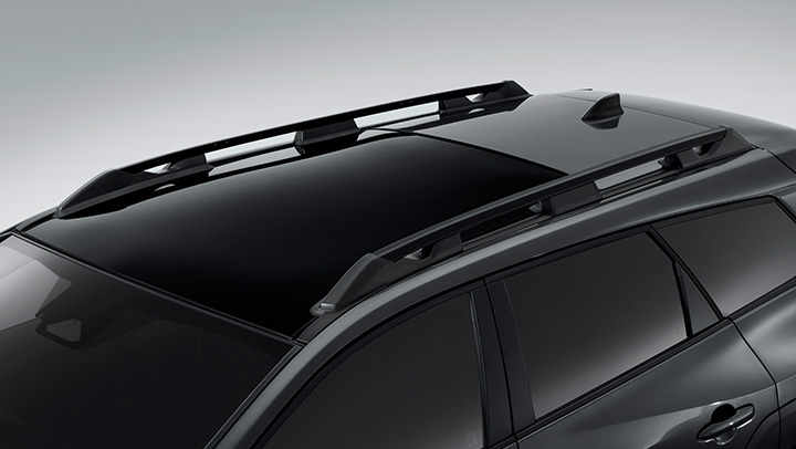 Ladder Type Roof Rails