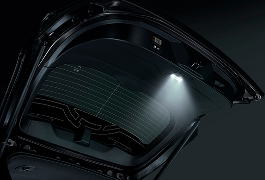 Back Door Lamp