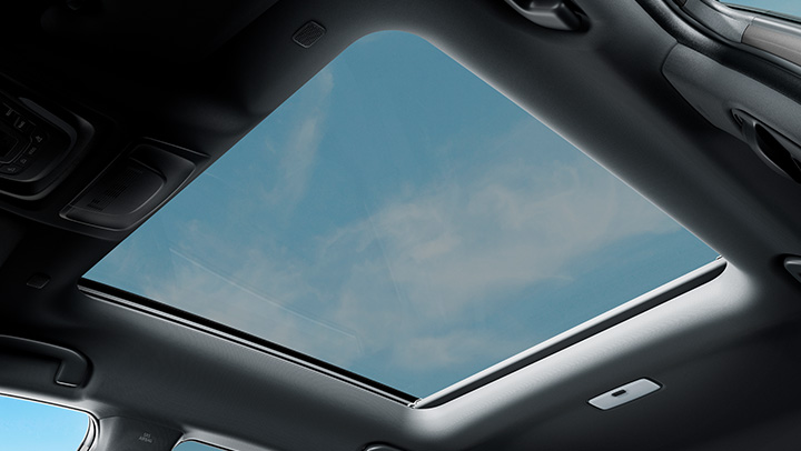 Panoramic Roof