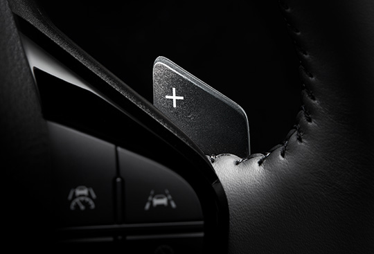 Paddle Switches