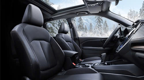 Màn hình trung tâm 11.6 inch