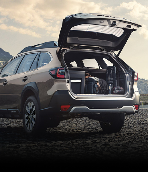 ความอเนกประสงค์