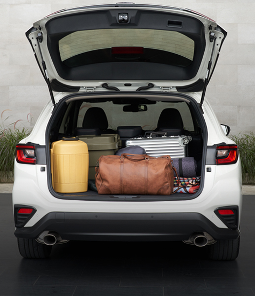 ความอเนกประสงค์