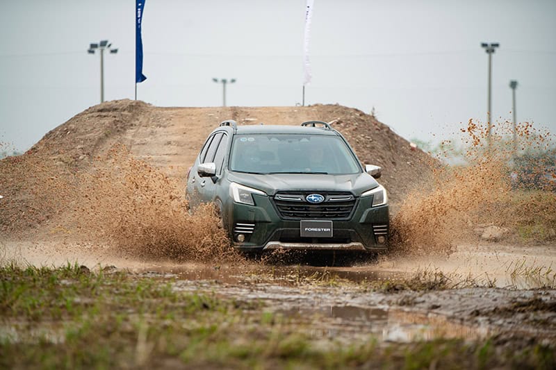 test drive